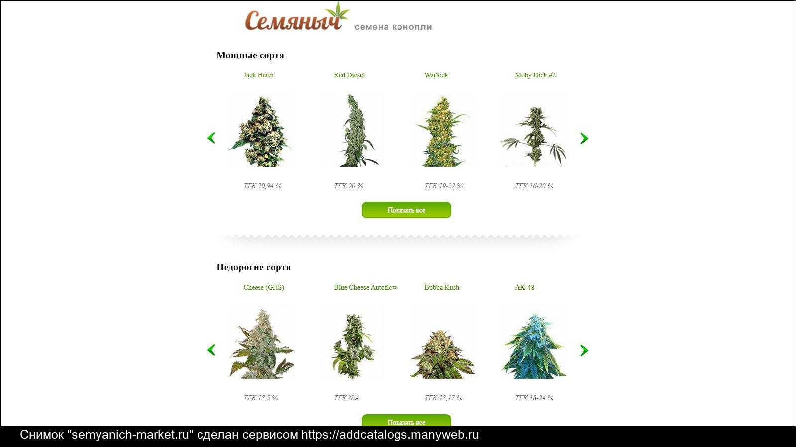 «семяныч» сливает секреты успеха | madhouse news