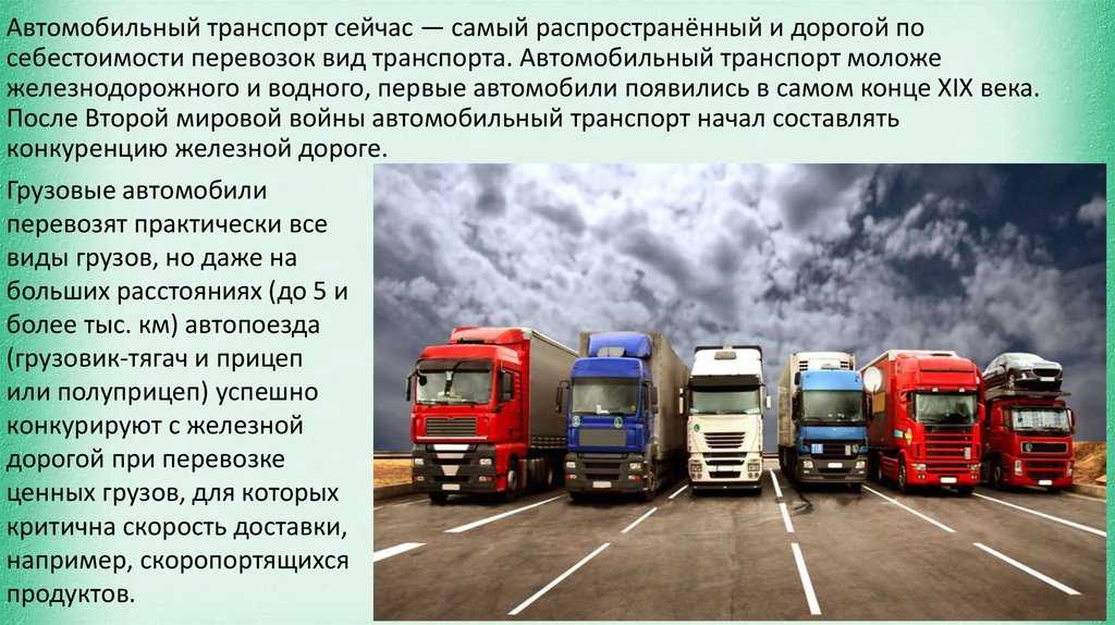 Как выбрать надежного перевозчика и получить комфортную поездку на автобусе?