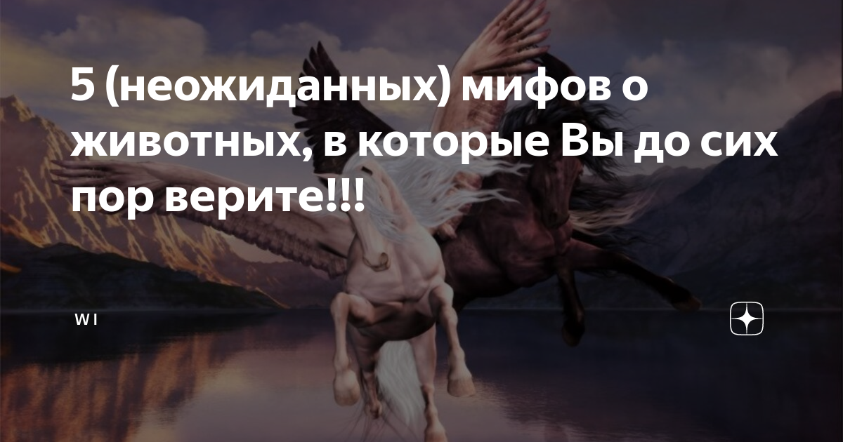 Факты о шинах, которые вы не знали