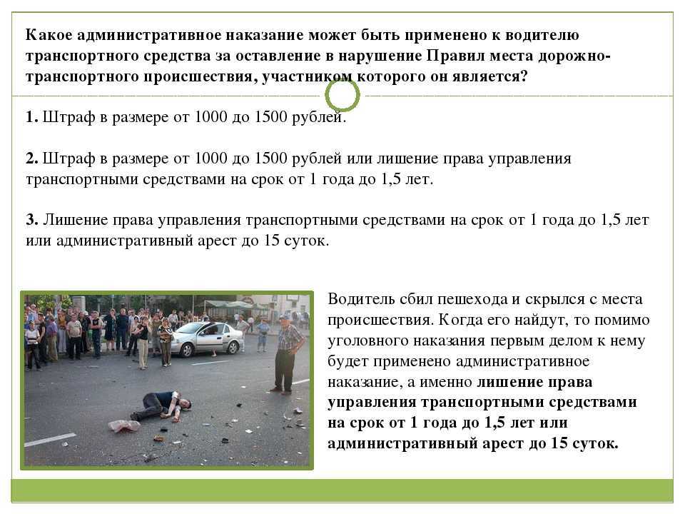 Пешеход и водитель: кто прав, а кто виноват? | отдел гибдд умвд россии по городу брянску
