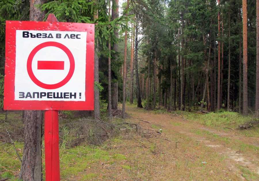 Штраф за выезд на природу: пдд в лесах, полях и у водоемов, права и законы