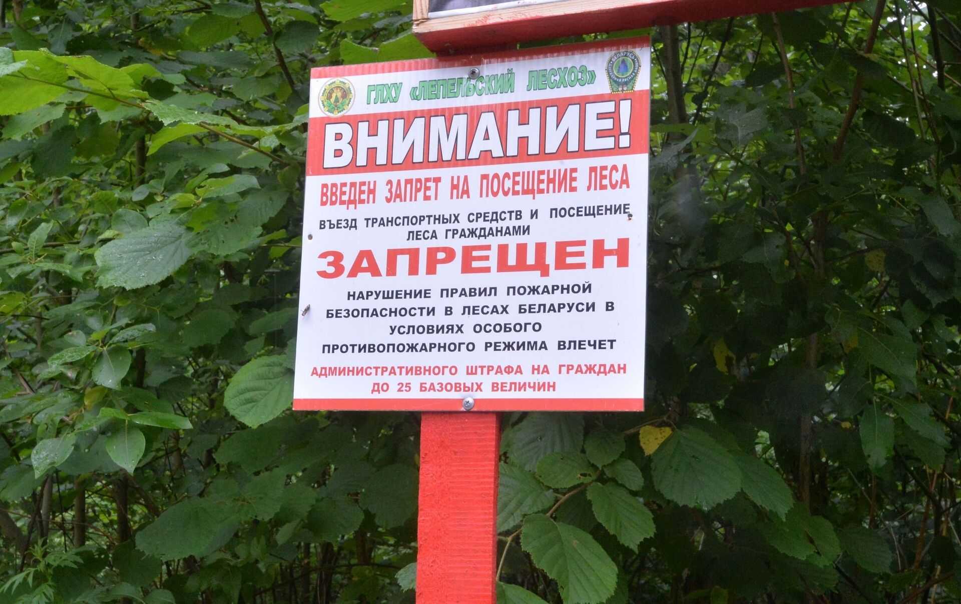 Когда за поездку в лес можно получить штраф