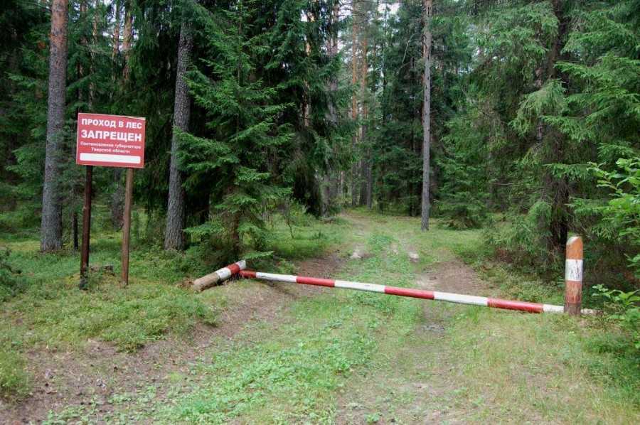 Какие правила парковки на грунтовых дорогах в 2023?