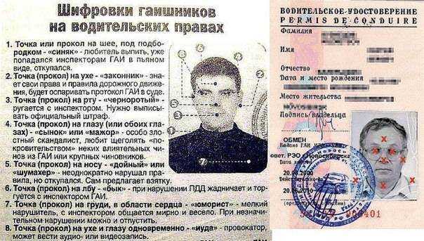 Метки и проколы на водительском удостоверении: значение, кто и для чего ставит, как избежать