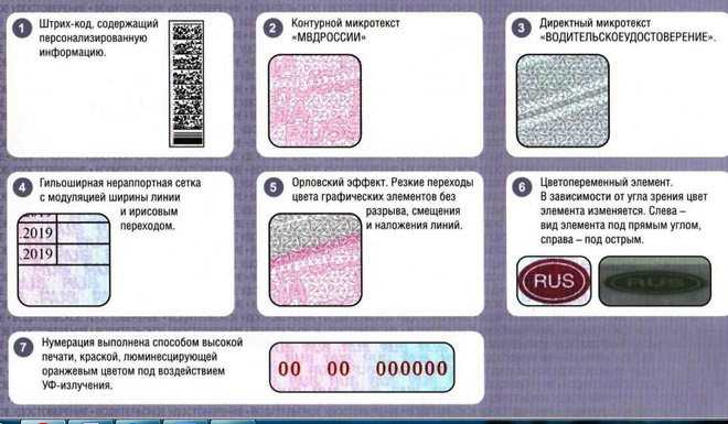 Новые водительские права как отличить оригинал от подделки