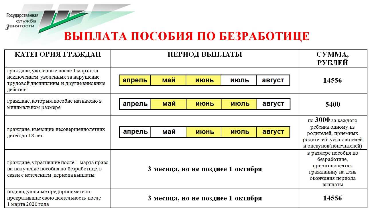 Чем лучше чистить ковровое покрытие в автомобиле?