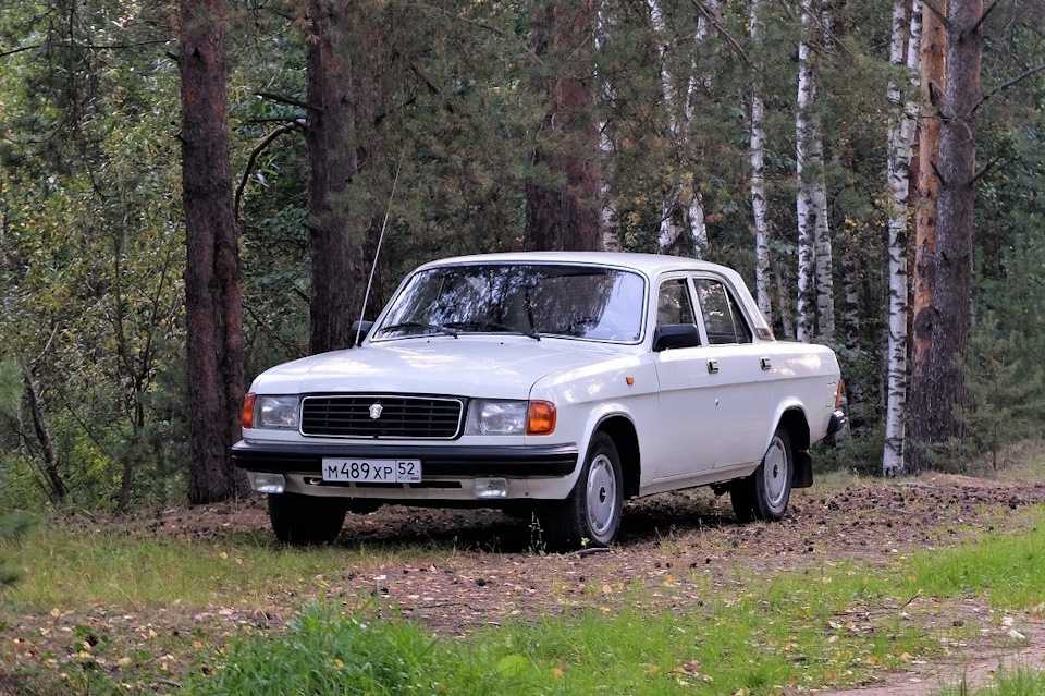 Отзывы владельцев газ 31029