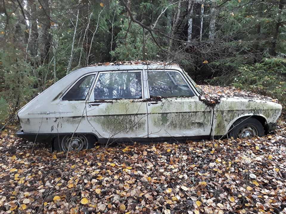 Ржавые, редкие и беззащитные: какие автосокровища можно найти в лесу в россии