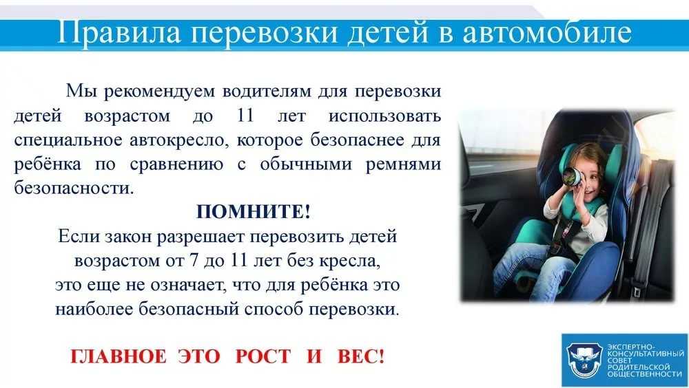 Особенности перевозки детей в авто дошкольного и школьного возраста