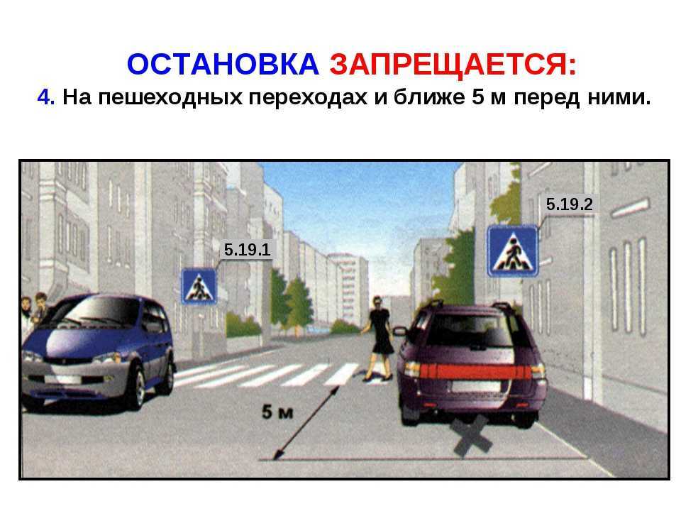 5 метров до пешеходного перехода