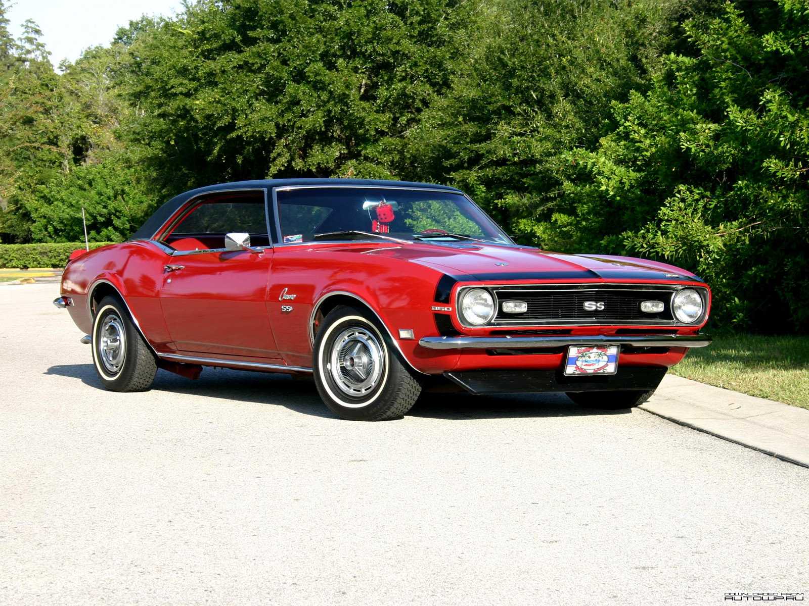 Chevrolet camaro