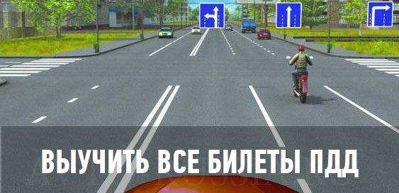Как быстро выучить пдд - educam