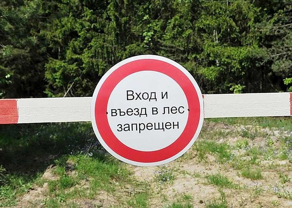 Штраф за въезд в лес