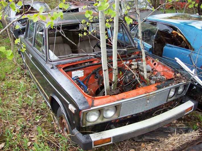 7 авто, которые перекупы на вторичке отрывают с руками