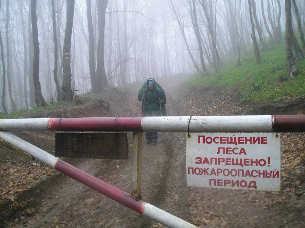 Какие правила парковки на грунтовых дорогах в 2023?