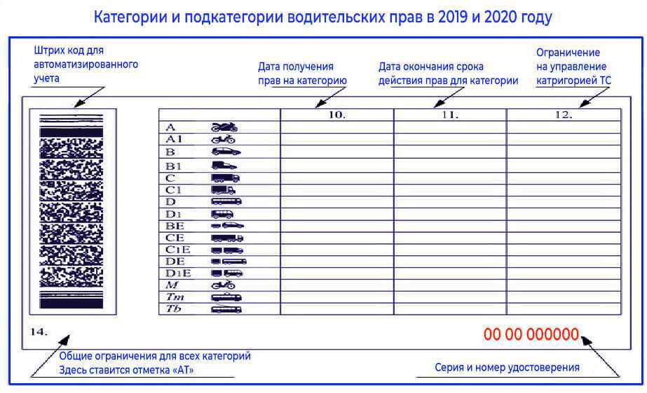 Категории водительских прав