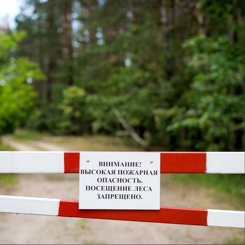 Штраф за въезд в особо охраняемую природную территорию (заповедник, парки) на машине или как съездить отдохнуть на природе, заплатить штраф и остаться без машины (статья 8.39 коап рф)