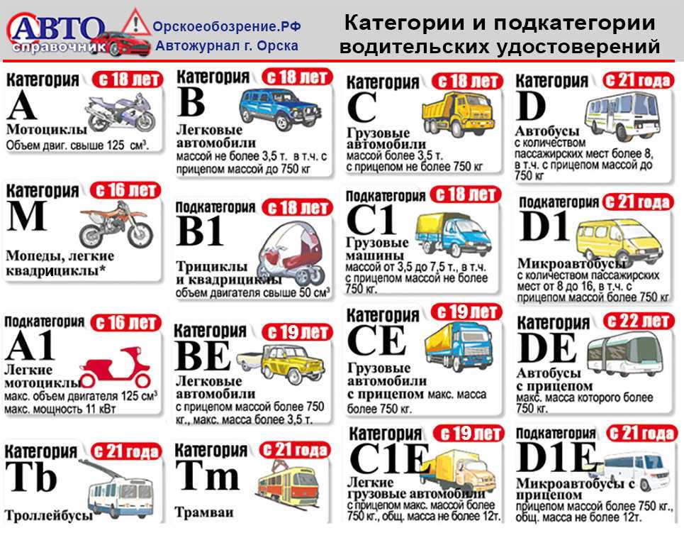 Какое транспортное средство можно водить с 14 лет: подробная информация