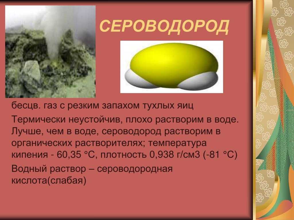 Причины появления внутри автомобиля запаха тухлых яиц. в машине пахнет тухлыми яйцами. - avto-dim.ru