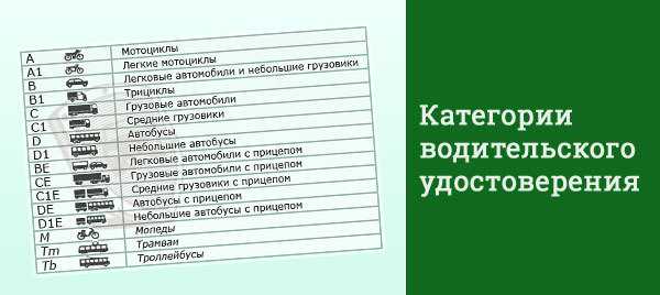 Категории водительских прав в 2023 году с расшифровкой
