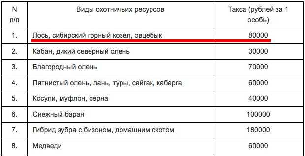 Есть ли штраф за сбитого лося в 2023 году: какая ответственность водителя, если сбил дикое животное на дороге, могут ли лишить водительских прав