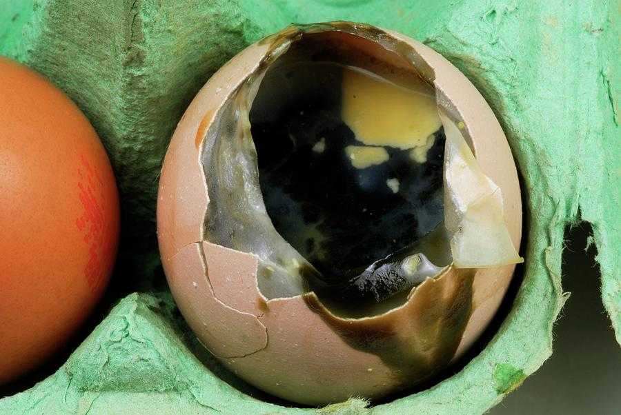 Почему иногда в машине пахнет тухлыми яйцами
